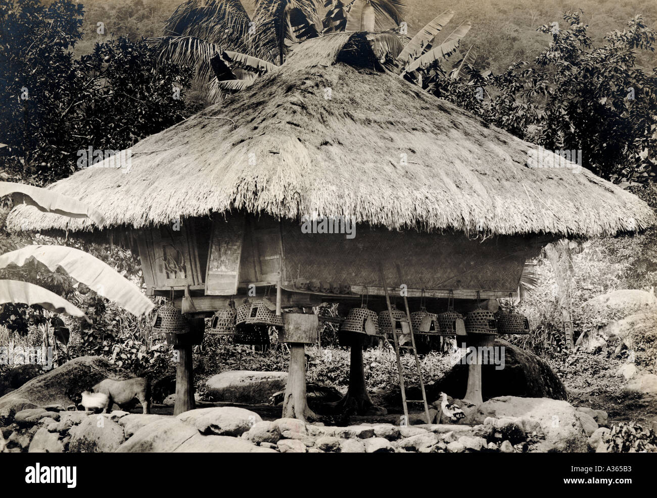 Hut on stilts in the Philippines East Indies Stock Photo Alamy