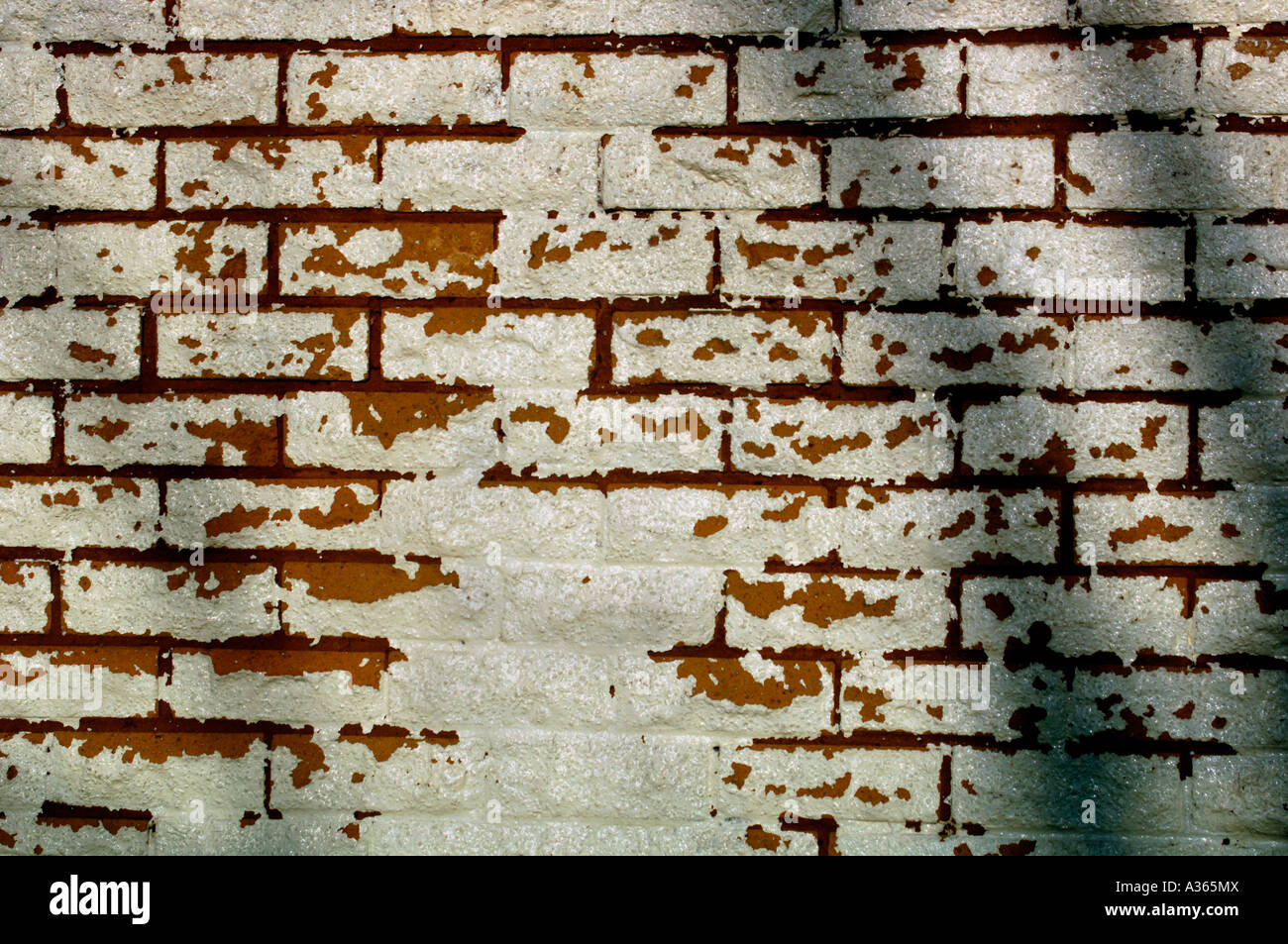 Peeling Paint Coming Off A Whitewashed Brick Wall Stock Photo Alamy