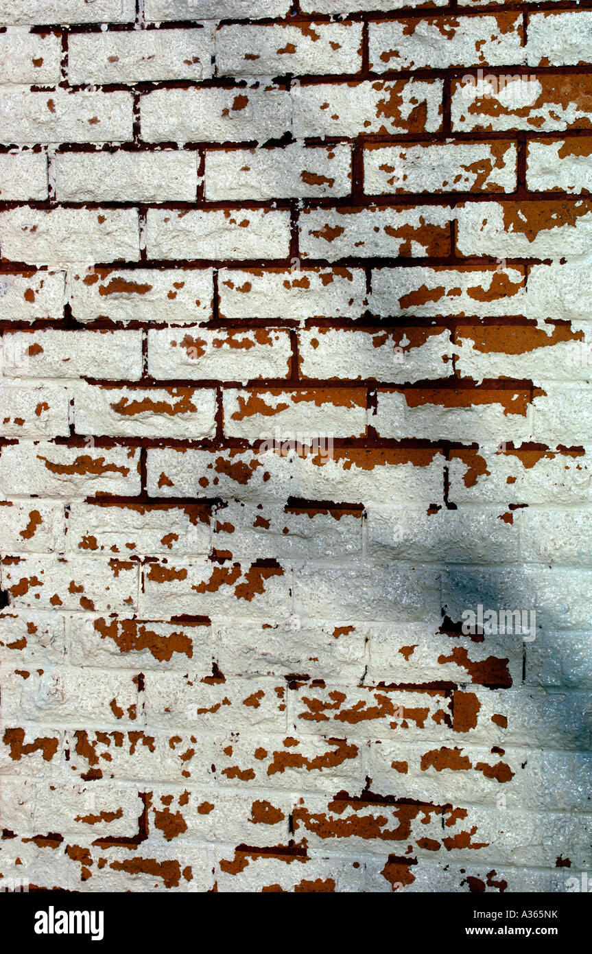 Peeling Paint Coming Off A Whitewashed Brick Wall Stock Photo Alamy