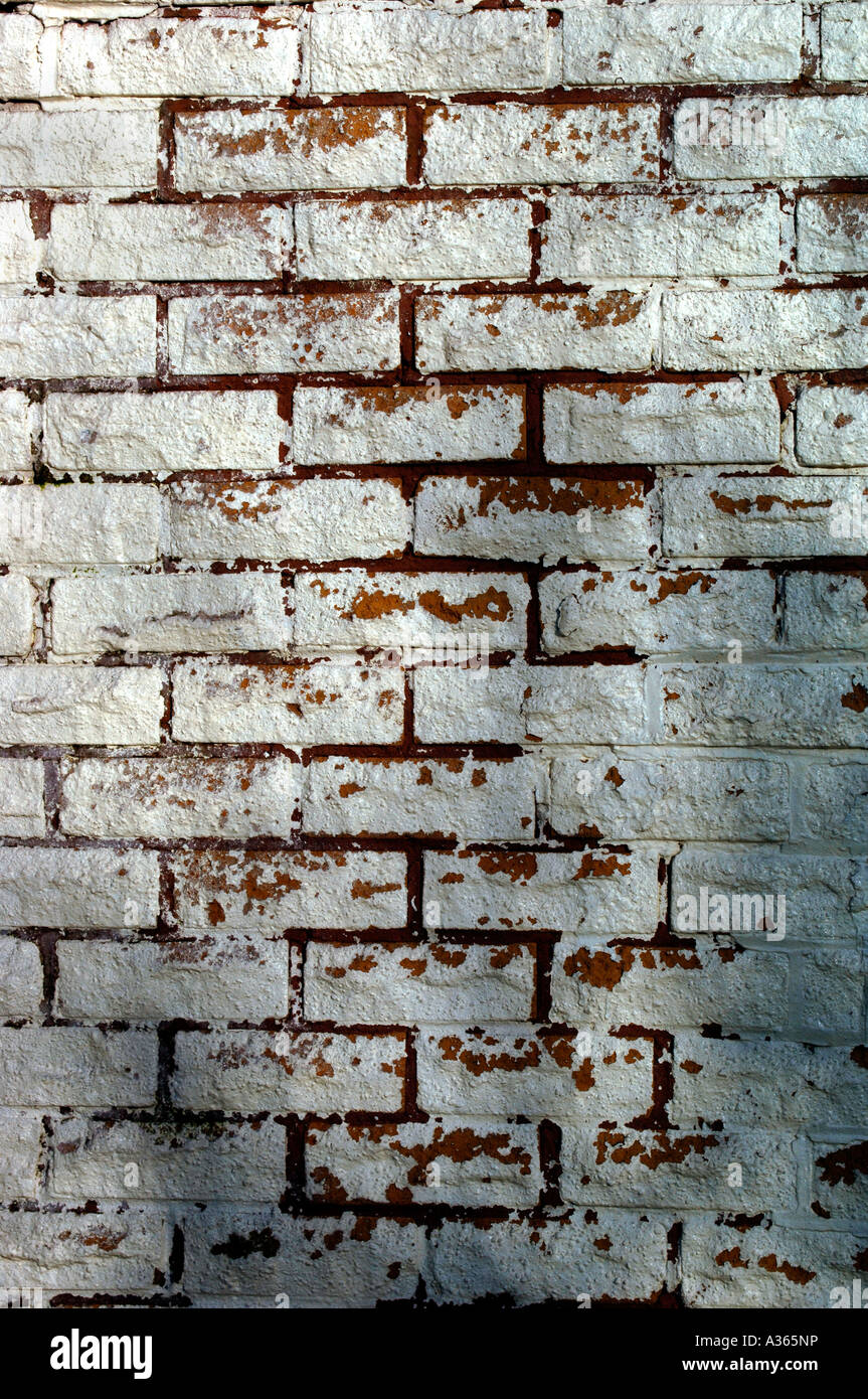 Peeling Paint Coming Off A Whitewashed Brick Wall Stock Photo Alamy