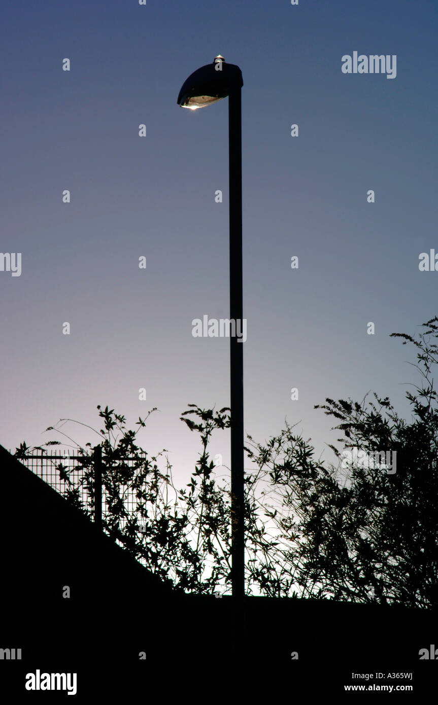 Silhouetted Images Of A Modern Streetlight,Rooftop & Bushes. Stock Photo