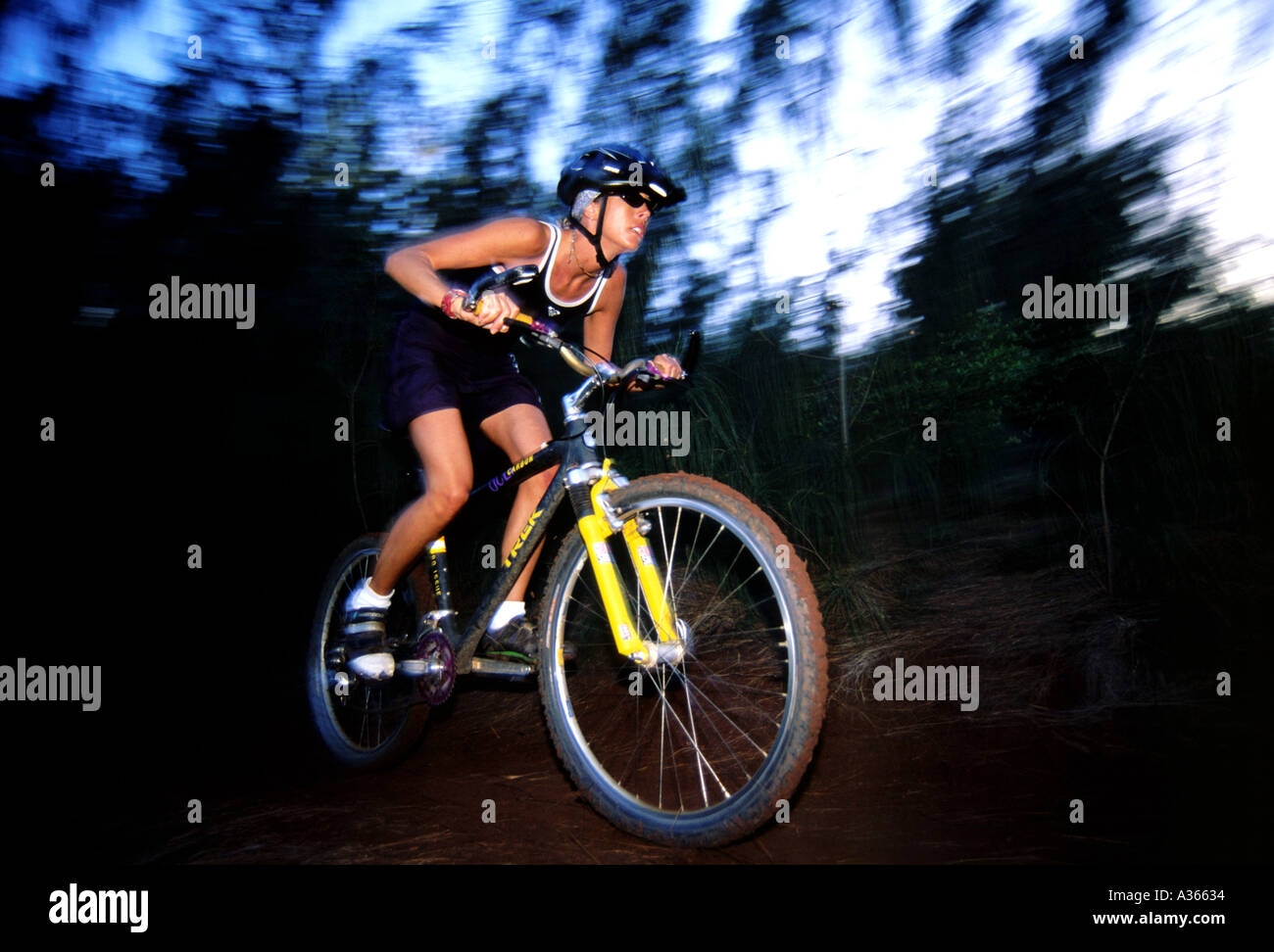 Mountain biking on Oahu s North Shore Hawaii Stock Photo Alamy
