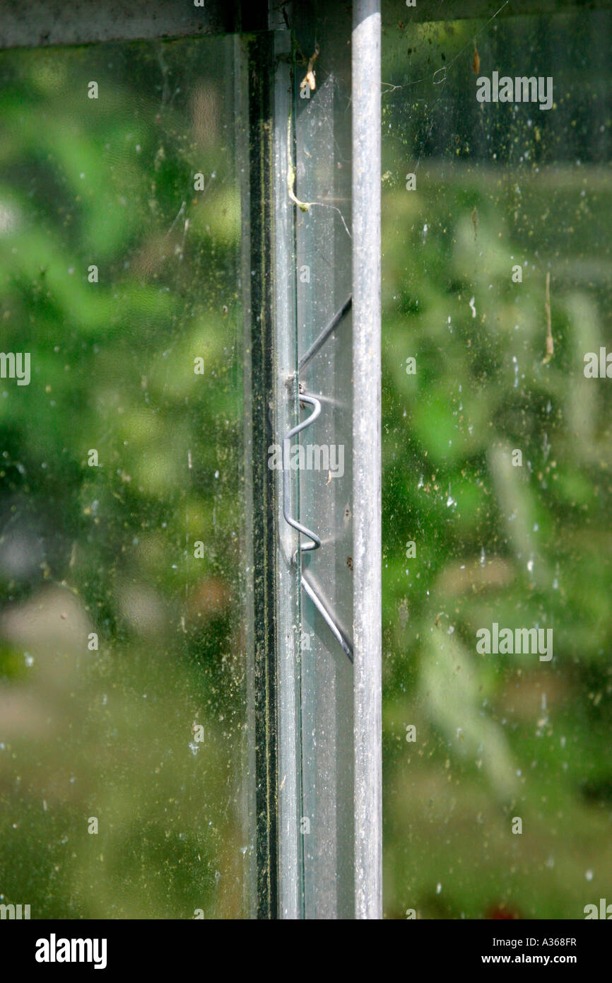 ALUMINIUM GREENHOUSE USES CLIPS TO HOLD GLASS IN PLACE Stock Photo Alamy