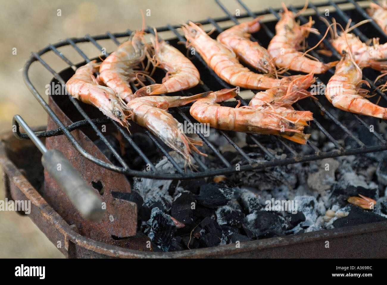 Shrimps on a BBQ grill Stock Photo