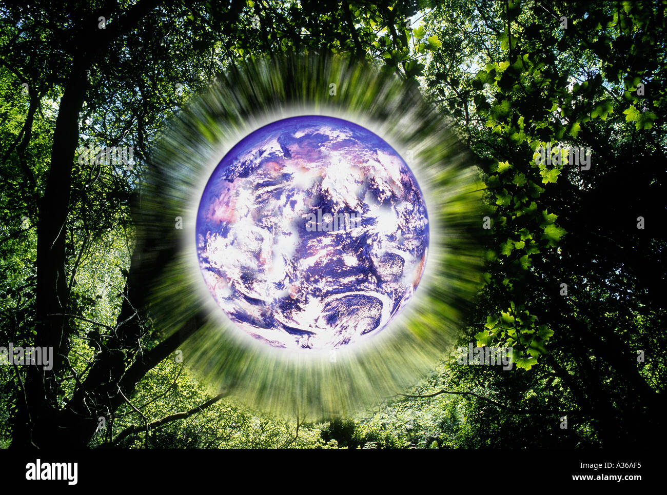 Earth with forest background Stock Photo