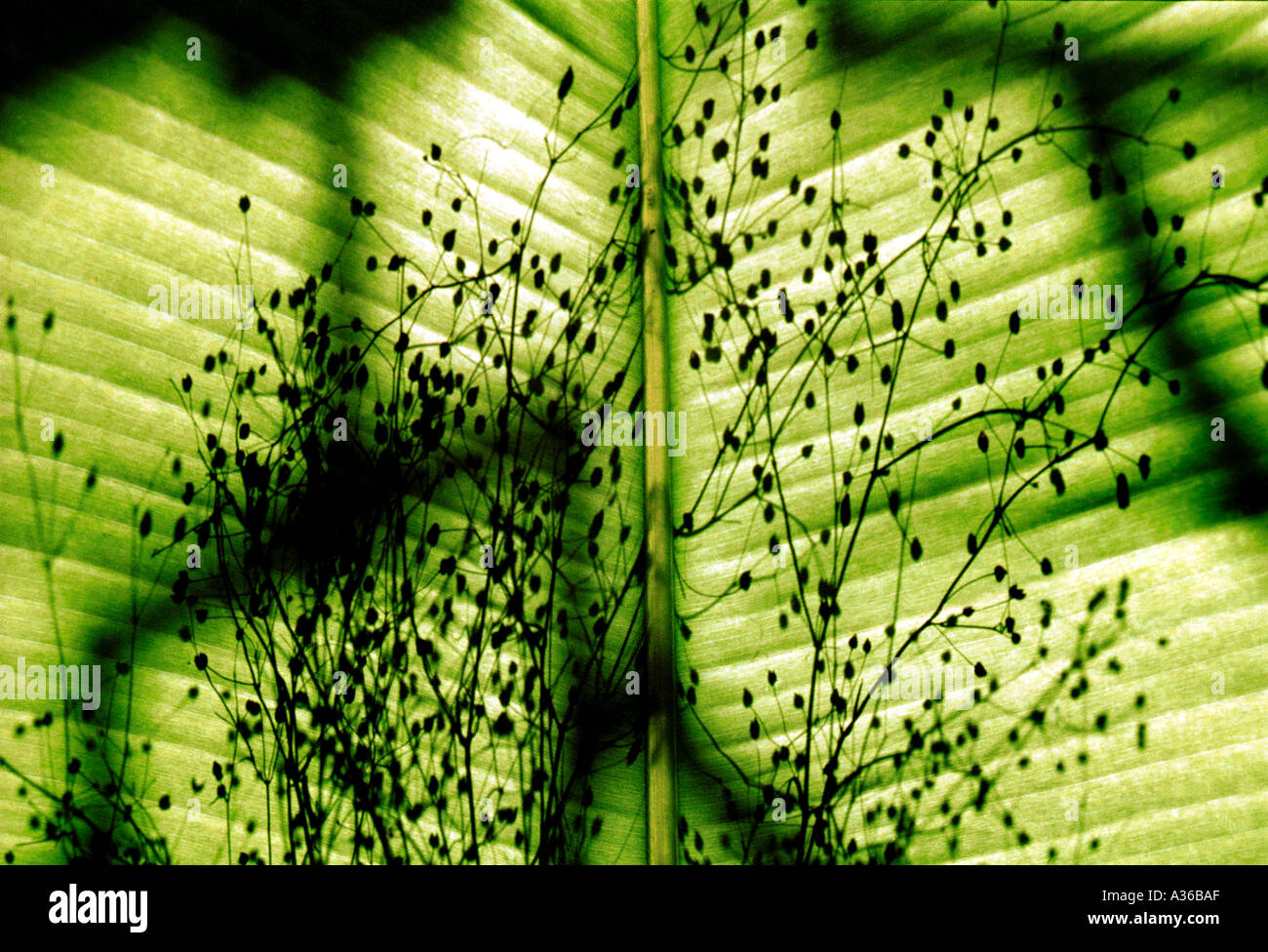 Abstract colour harmony hi-res stock photography and images - Alamy