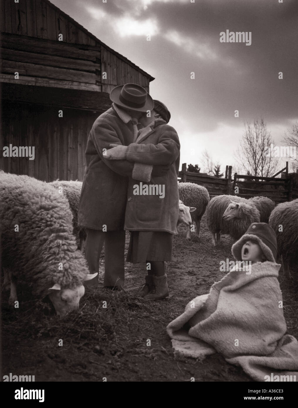 couple kissing in a farm envirement Stock Photo - Alamy