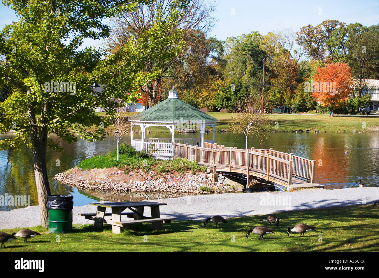 FALL SCENIC, SCENIC, TREE, PERGOLA, Stock Photo