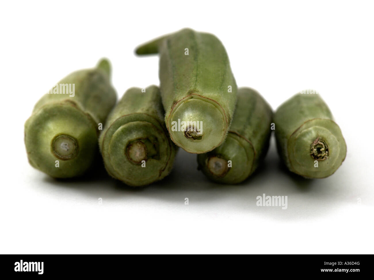 Okra Stock Photo