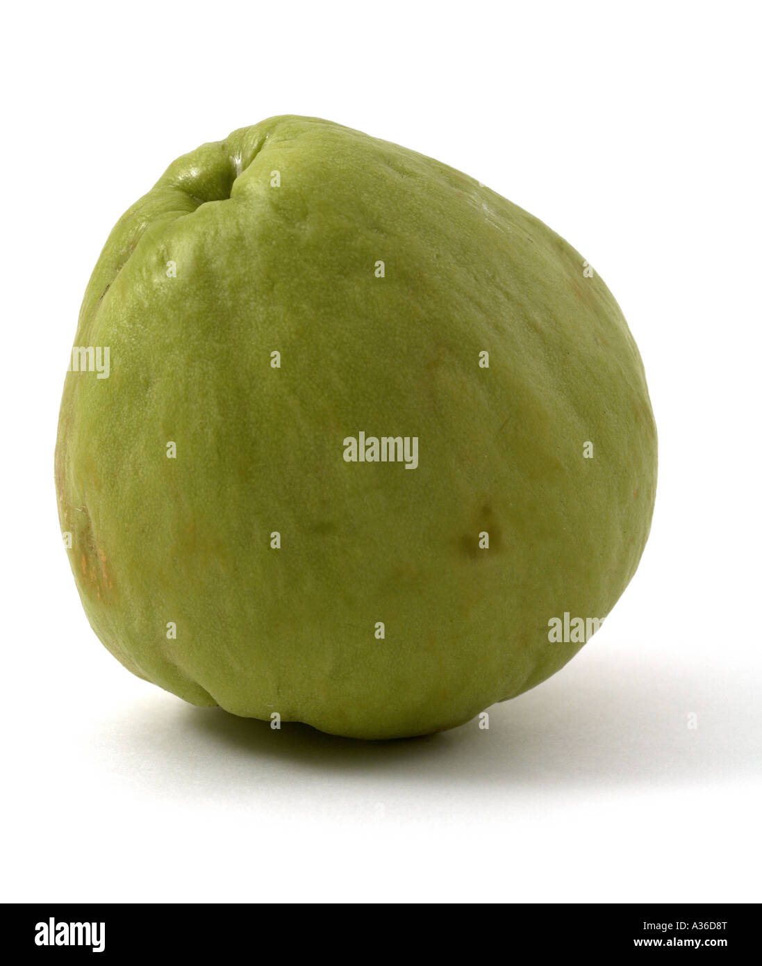 Cho-Cho or Cho Cho vegetable Stock Photo - Alamy