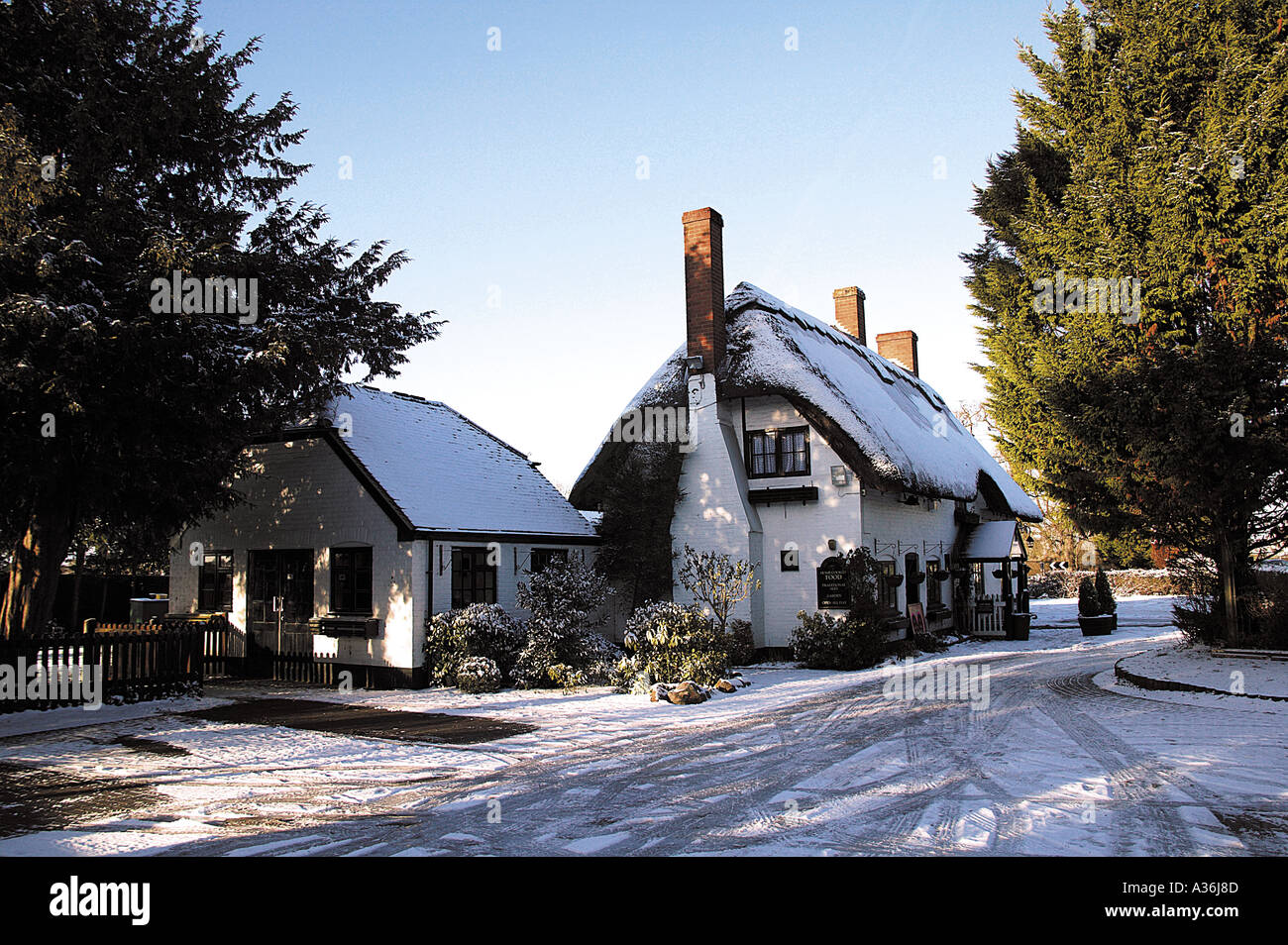 Pineapple Pub Stock Photo Alamy