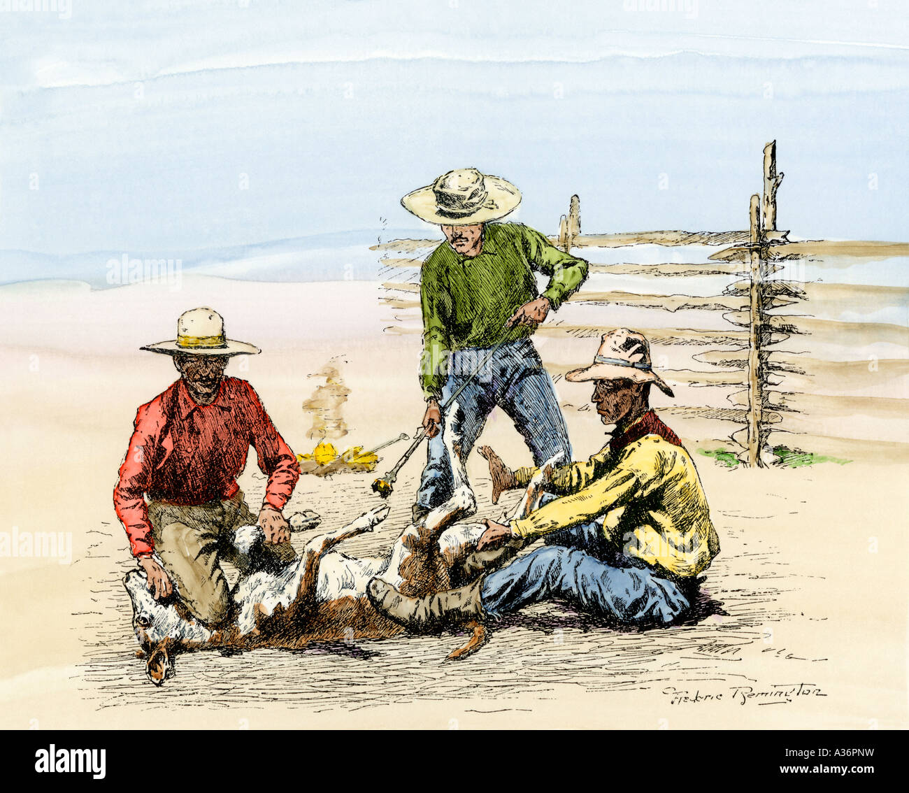 Three cowhands branding a calf 1800s. Hand-colored woodcut of a Frederic Remington illustration Stock Photo