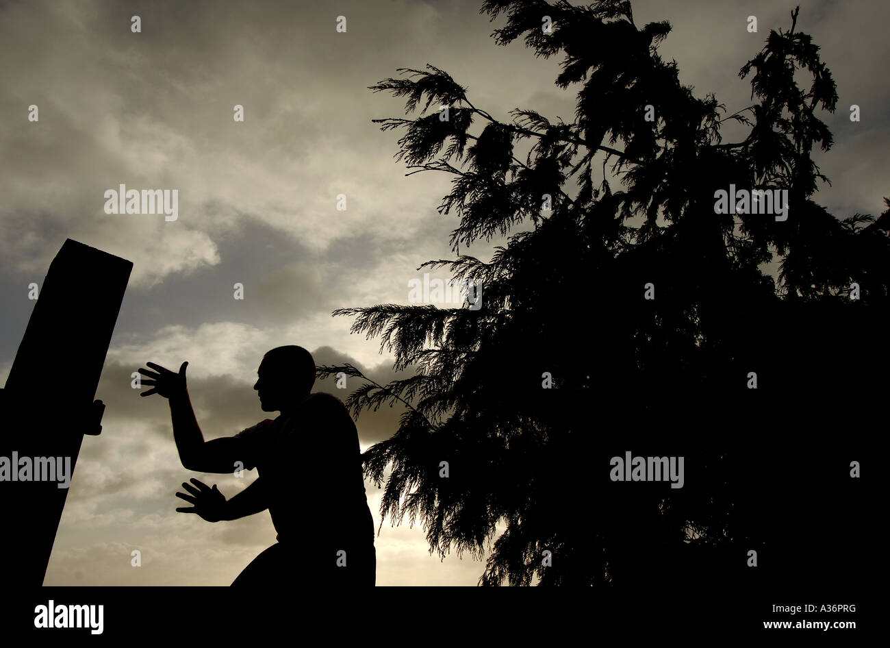 A man silhouetted practising Praying Mantis Kung Fu a martial art outdoors Stock Photo