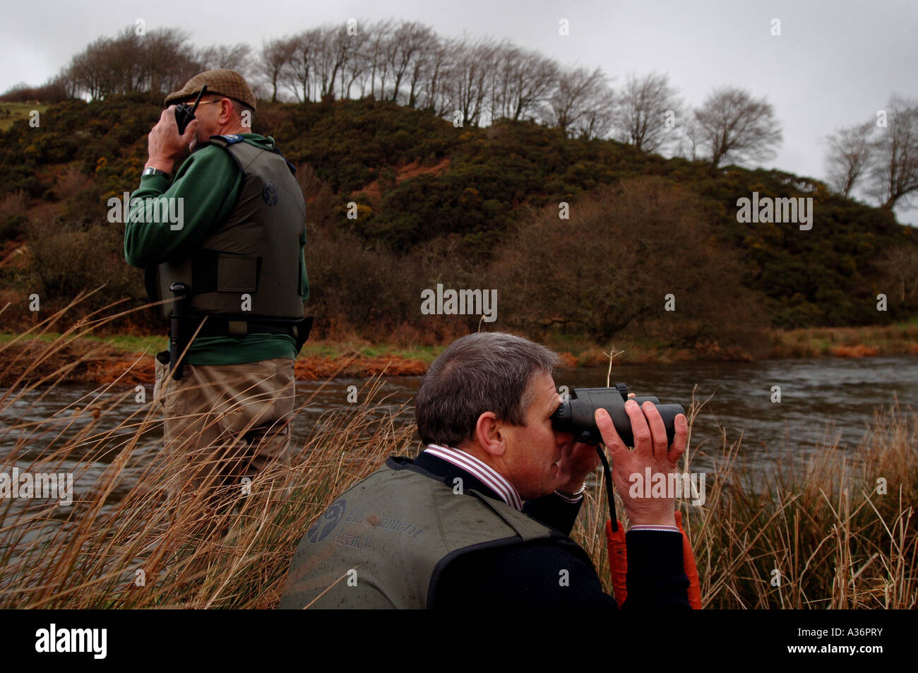 Environment Agency Officers looking for poachers along the River Barle on Exmoor Somerset Stock Photo