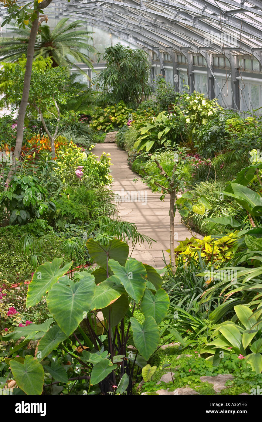Tropical House