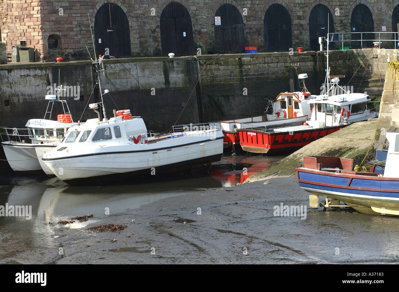 Diving Fishing and Trip Boats at Seahouses Harbour Northumberland ...