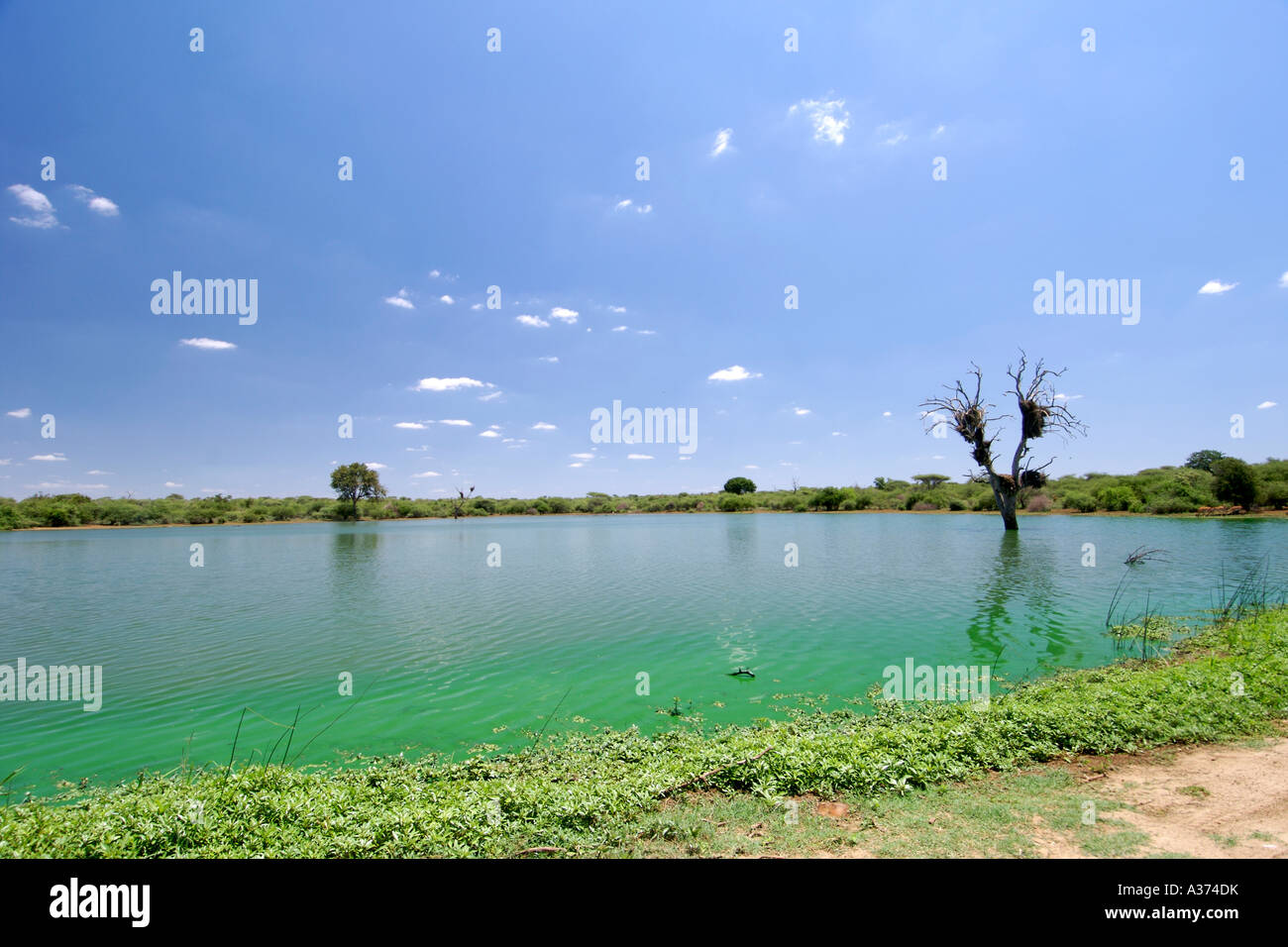 A dam near Lower Sabie in South Africa's Kruger National Park. Stock Photo
