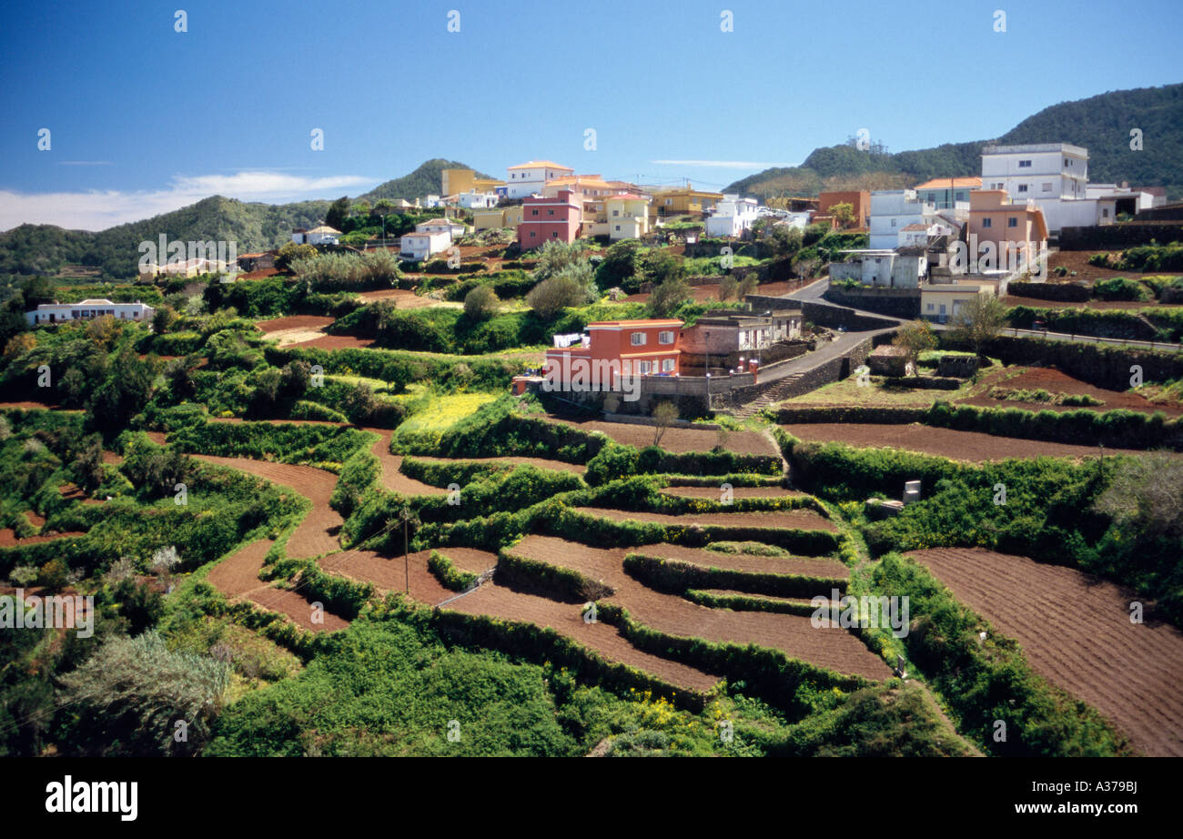 Terrace fields next to the village of Las Carboneras in the Anaga  mountains, Tenerife, Canary Islands, Spain. March 2006 Stock Photo - Alamy