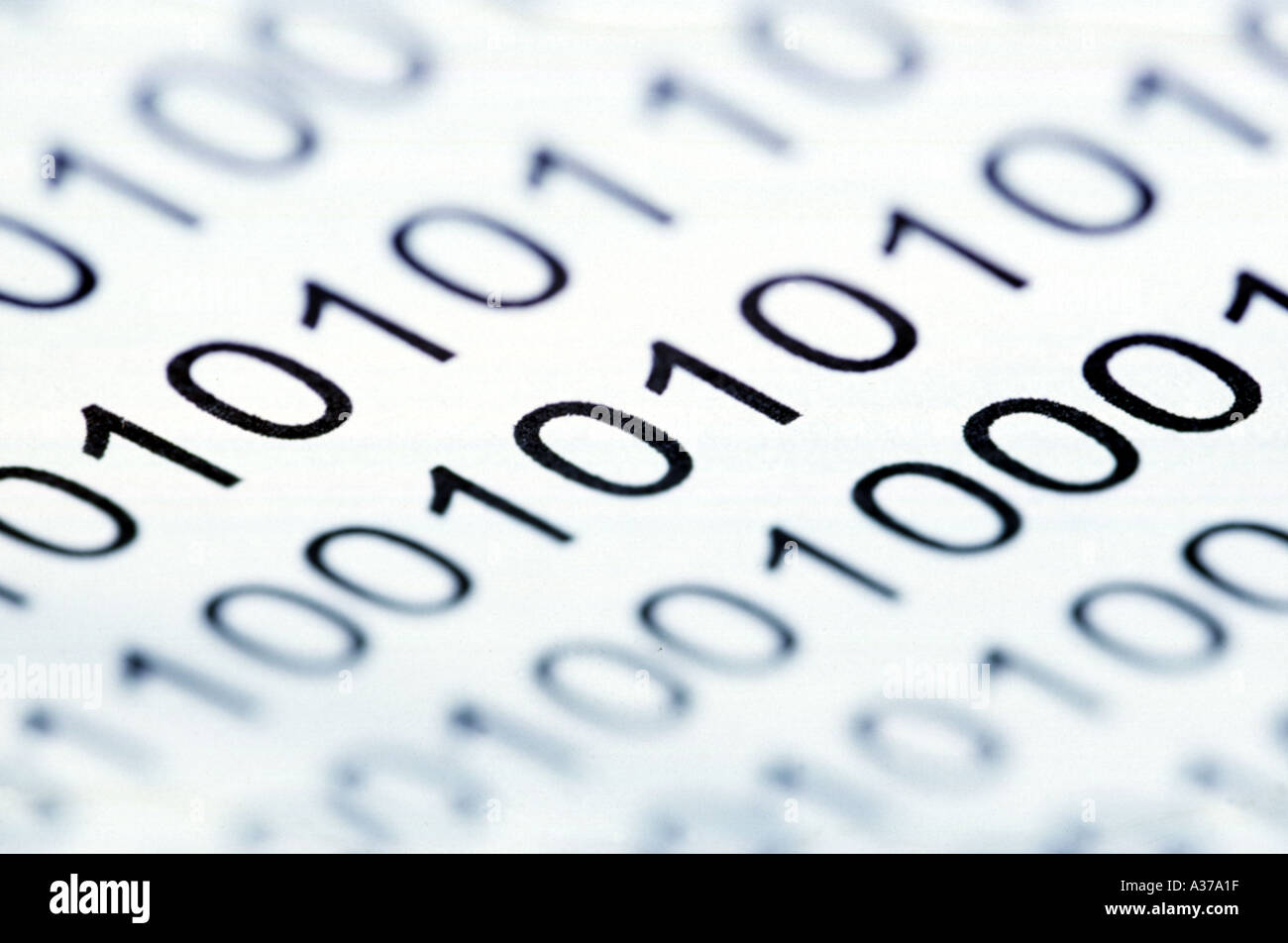 Binary code numbers on white background Stock Photo