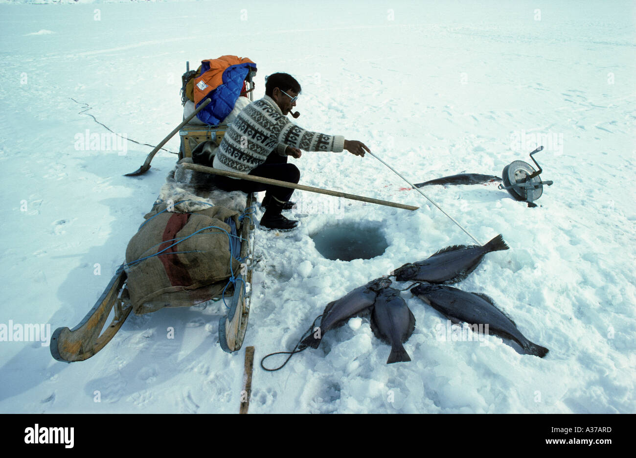 Inuit deep sea fishing for Halibut through holes in sea ice Quernalursavik in East Greenland, dogs are smaller Stock Photo