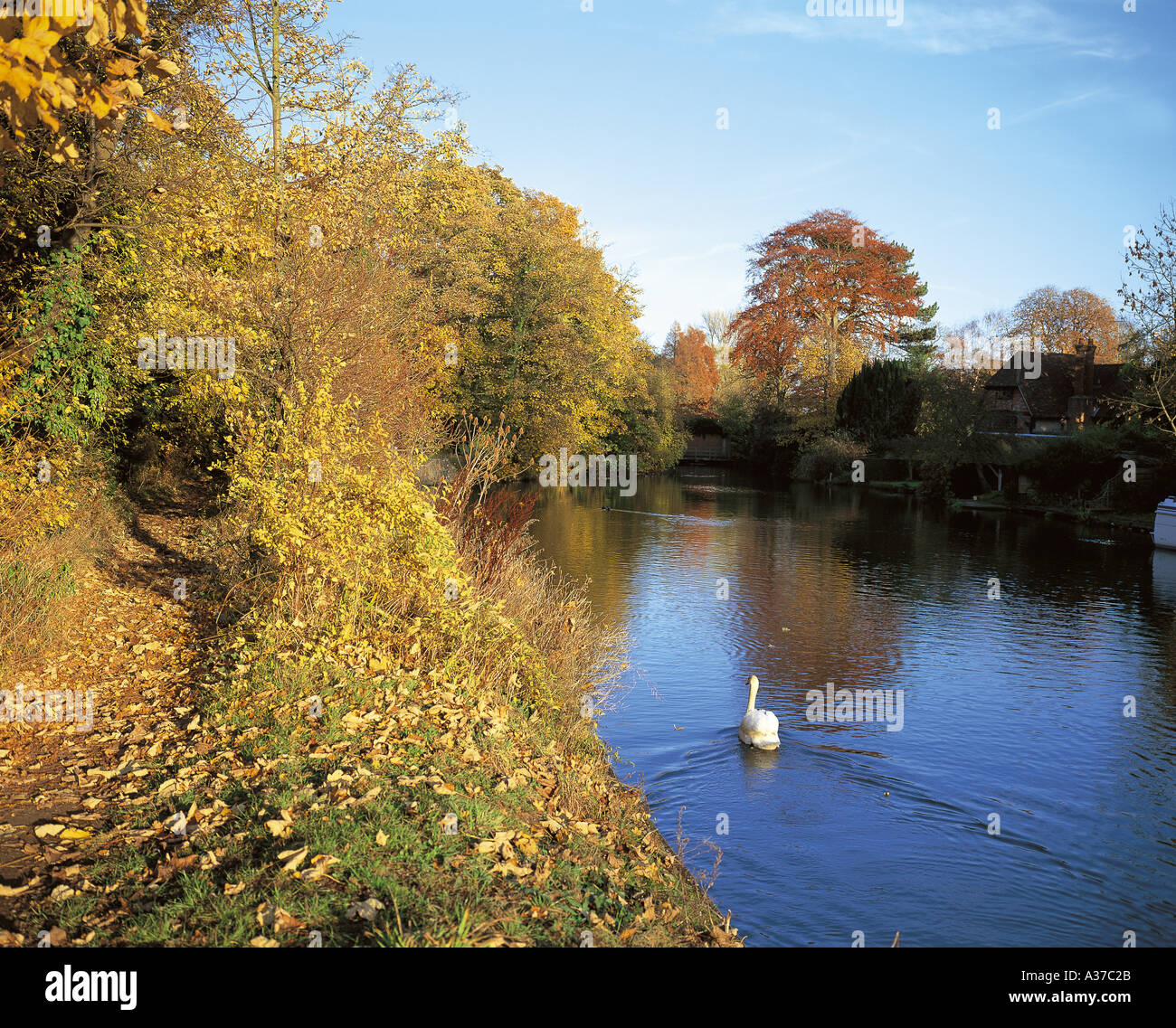 River Thames Stock Photo