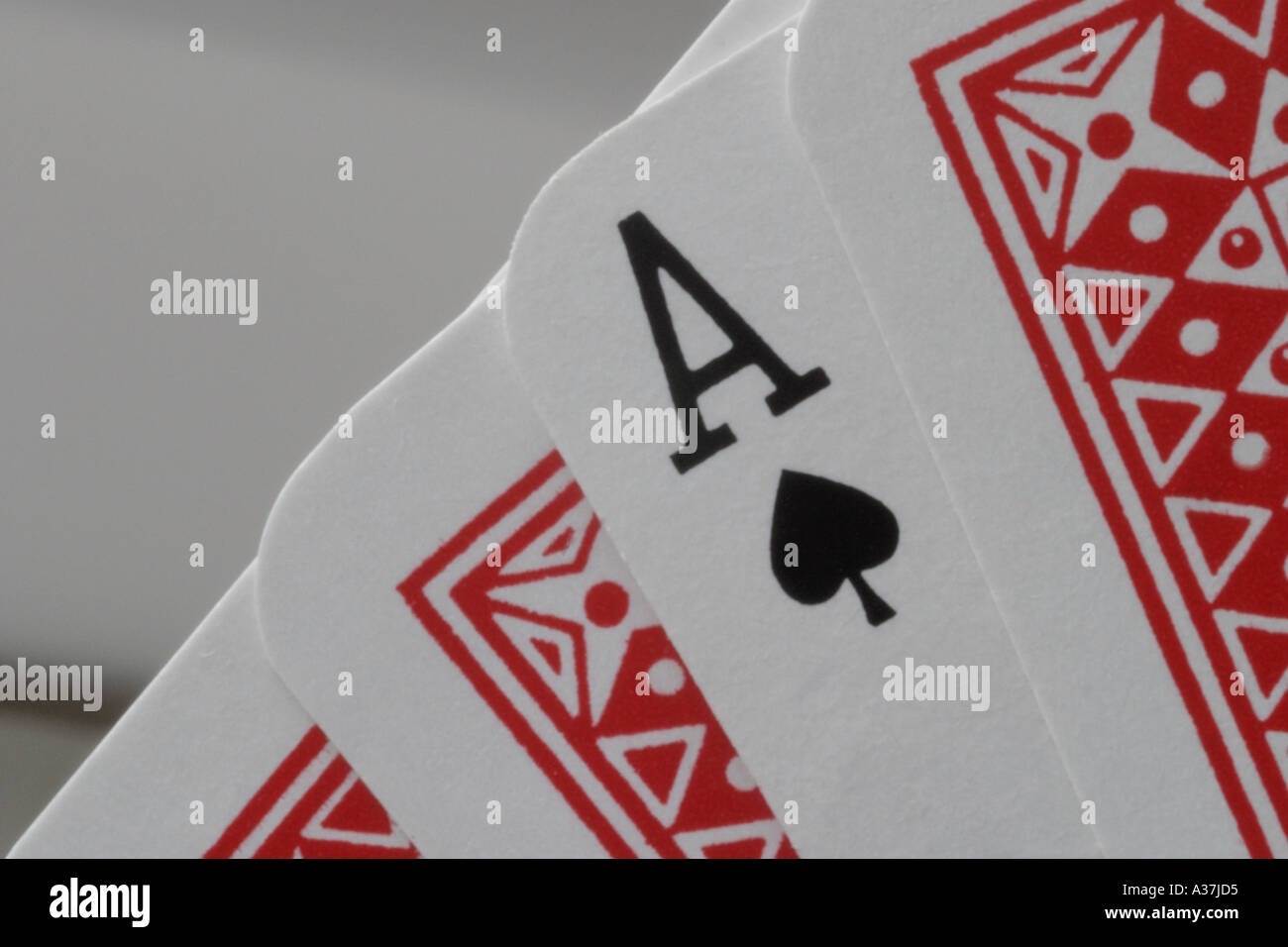 Playing Cards Aces Deuces Kings Queens Jokers Tens Nines Eights Sevens