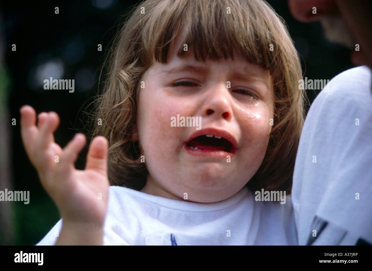 toddler Crying Having Tantrum Stock Photo Alamy