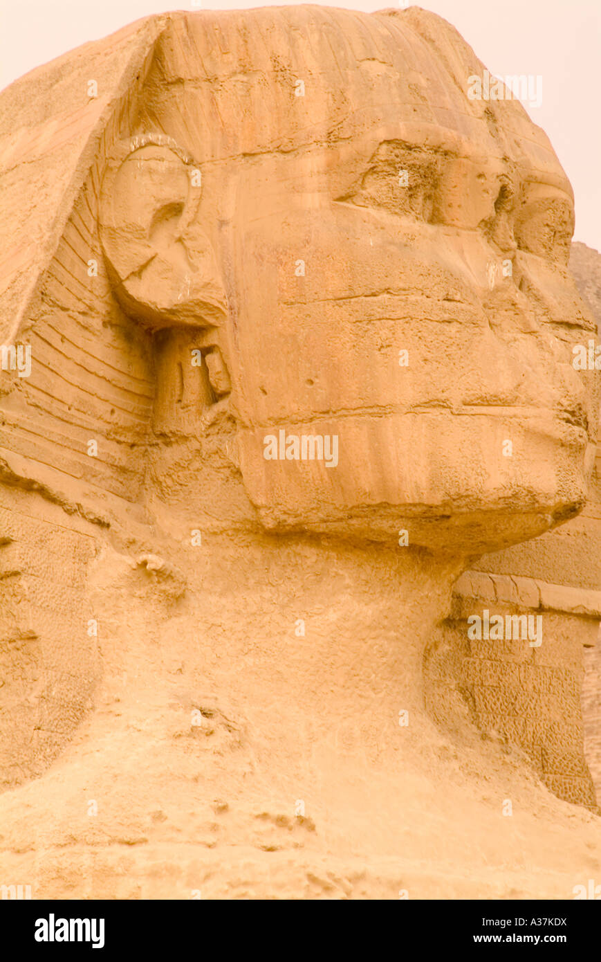 Giza the Great Sphinx likeness of king Khafre face portrait plateau view Cairo Egypt North Africa Stock Photo