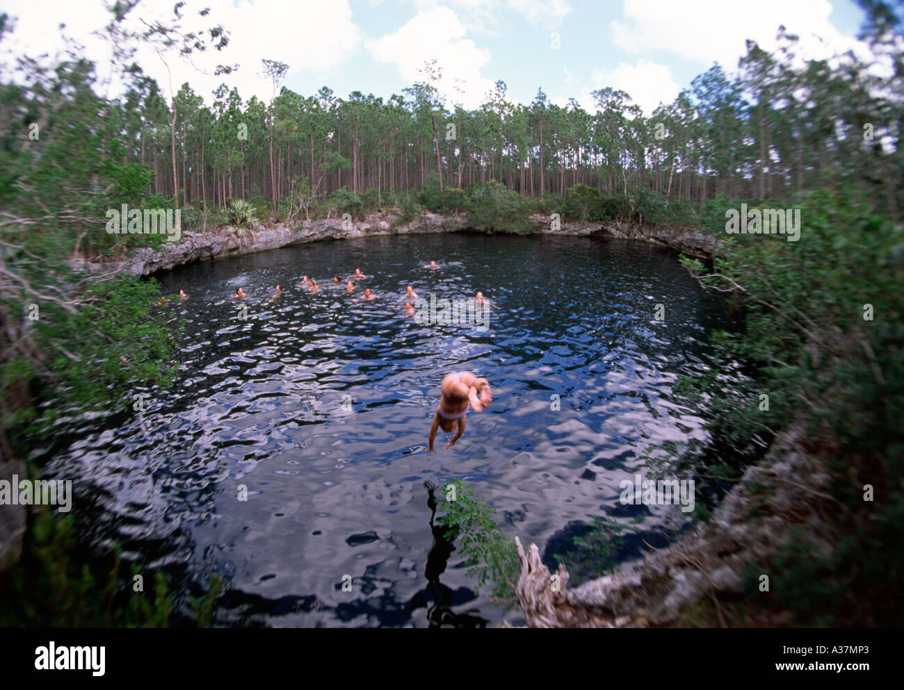 Andros bahamas hole hires stock photography and images Alamy