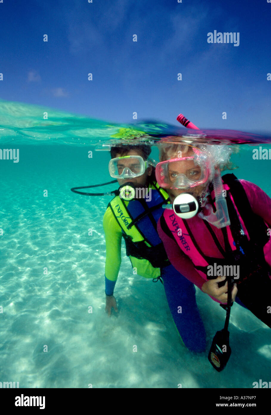 Scuba divers underwater in under over picture Nassau Bahamas Islands