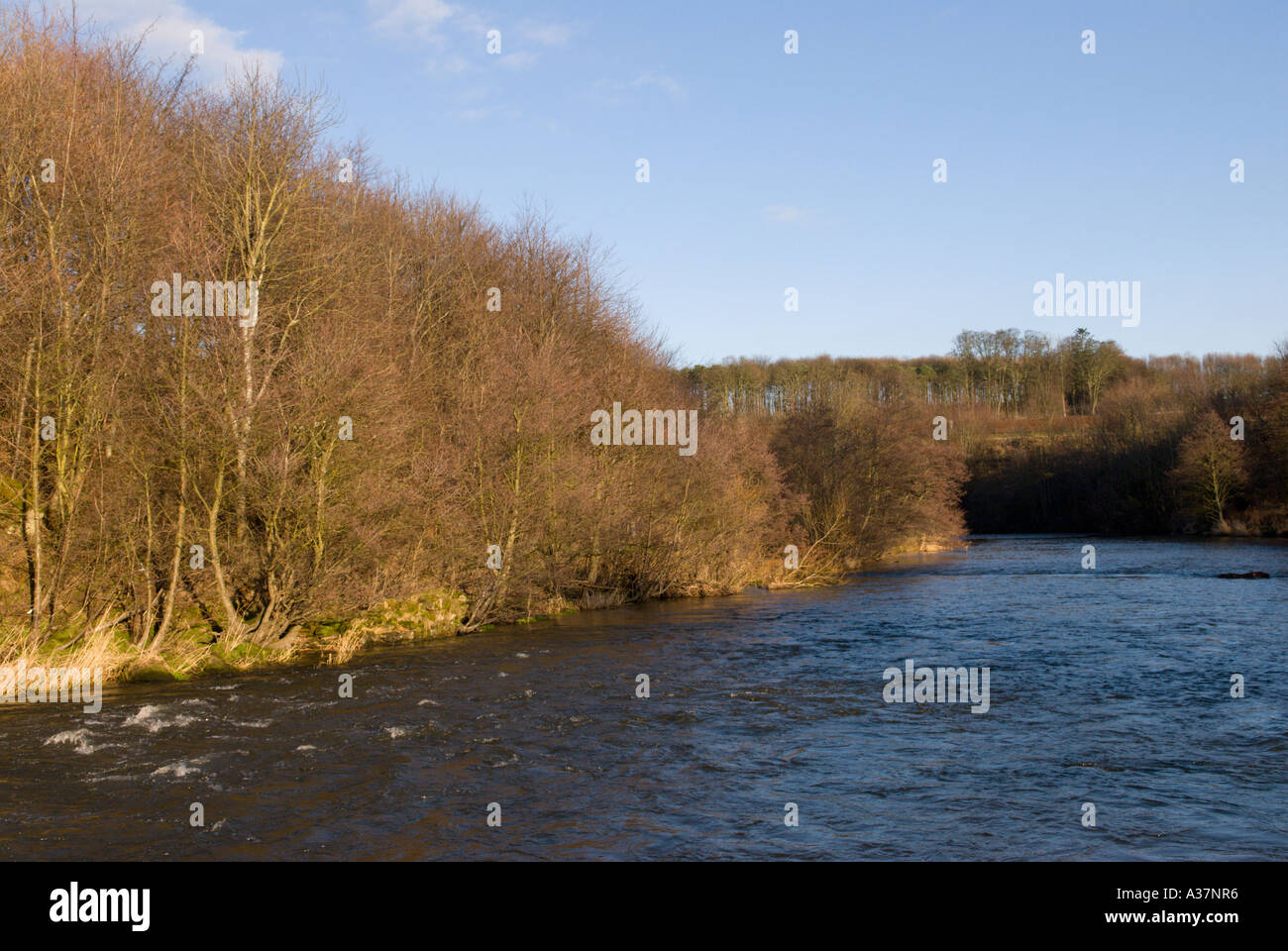 The River Till at Etal Northumberland Stock Photo Alamy