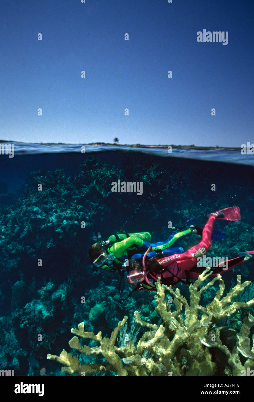 Scuba divers underwater in under over picture Nassau Bahamas Islands Caribbean Stock Photo Alamy
