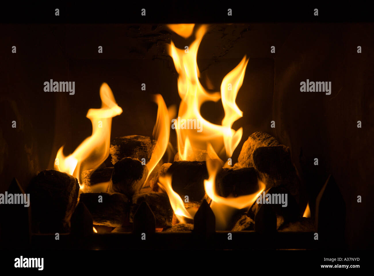 Living flame gas fire flames Stock Photo Alamy