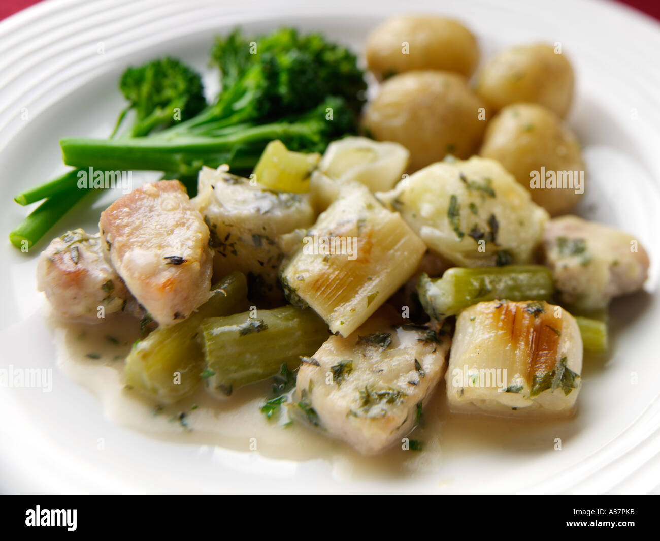 Pork, celery and leek casserole Stock Photo