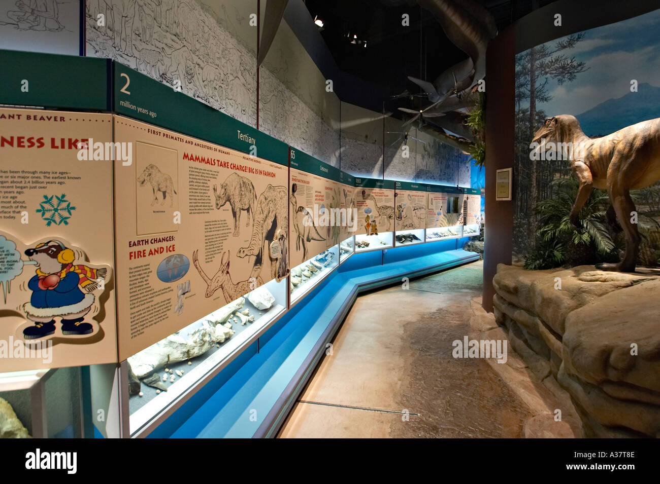 Wisconsin kenosha public museum interior hires stock photography and