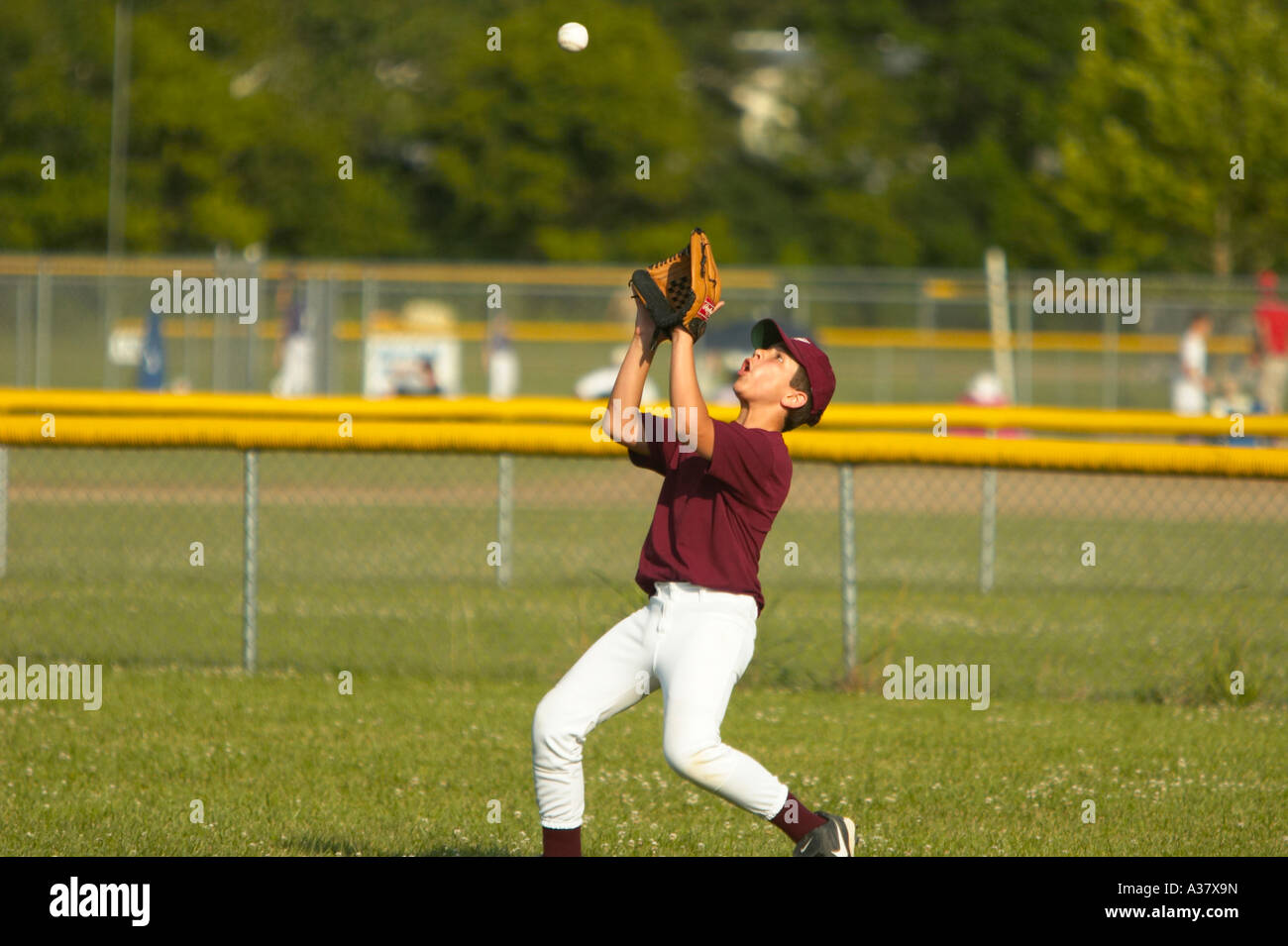 Pop fly 2024