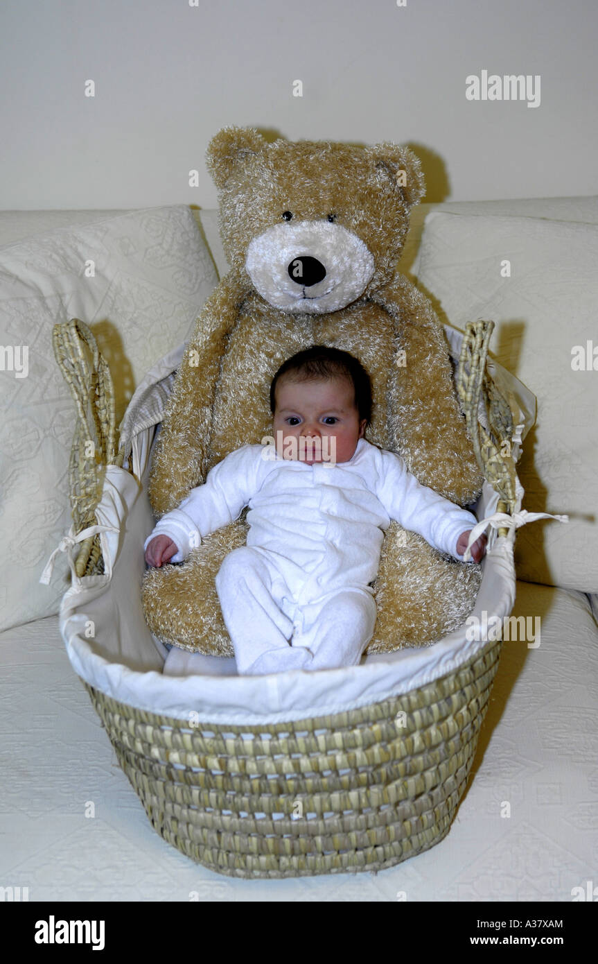 baby girl teddy bear happy caucasian fun face head smile portrait moses basket crib large Stock Photo