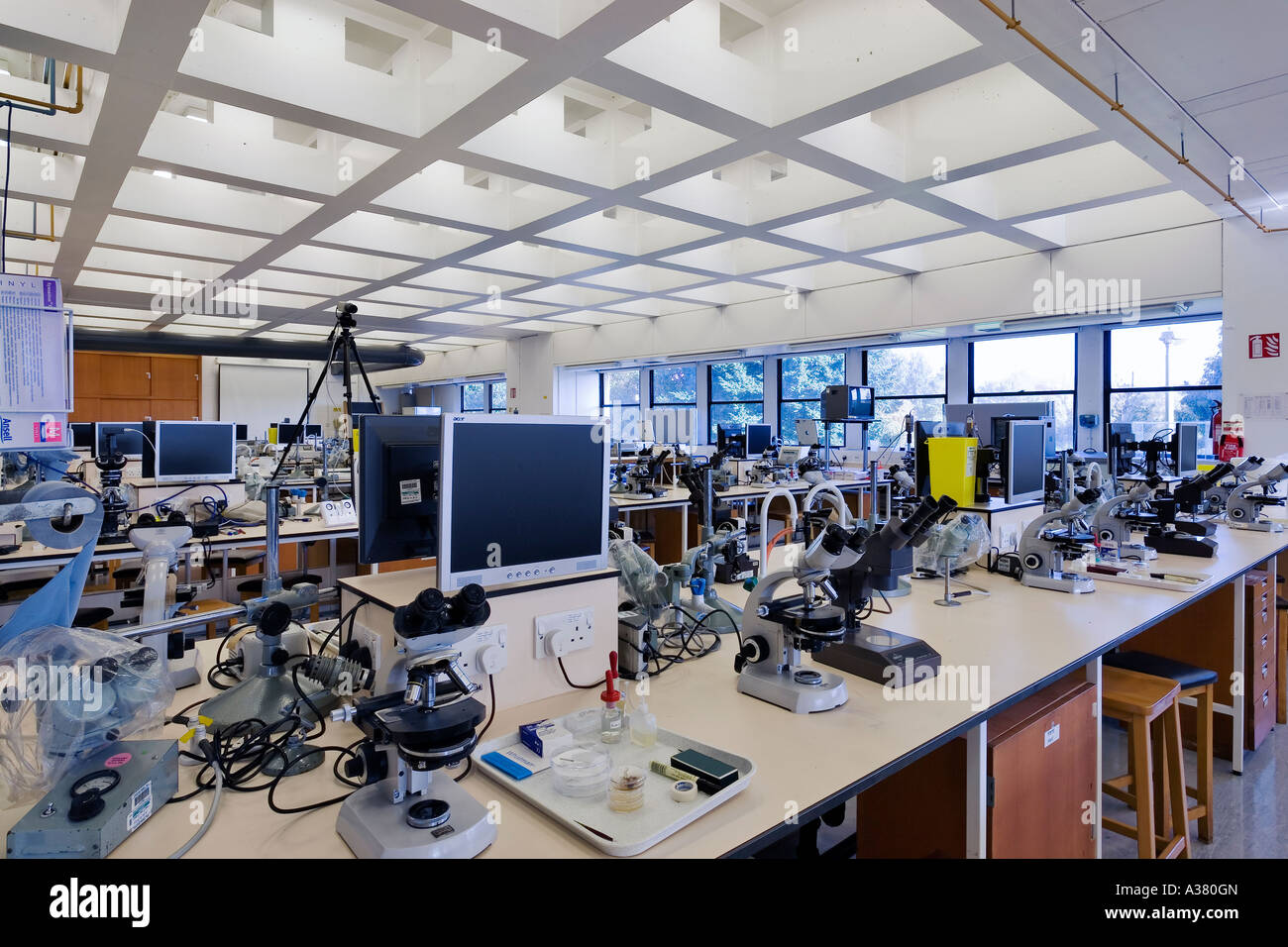 Laboratory at the Department of Zoology Oxford University Stock Photo