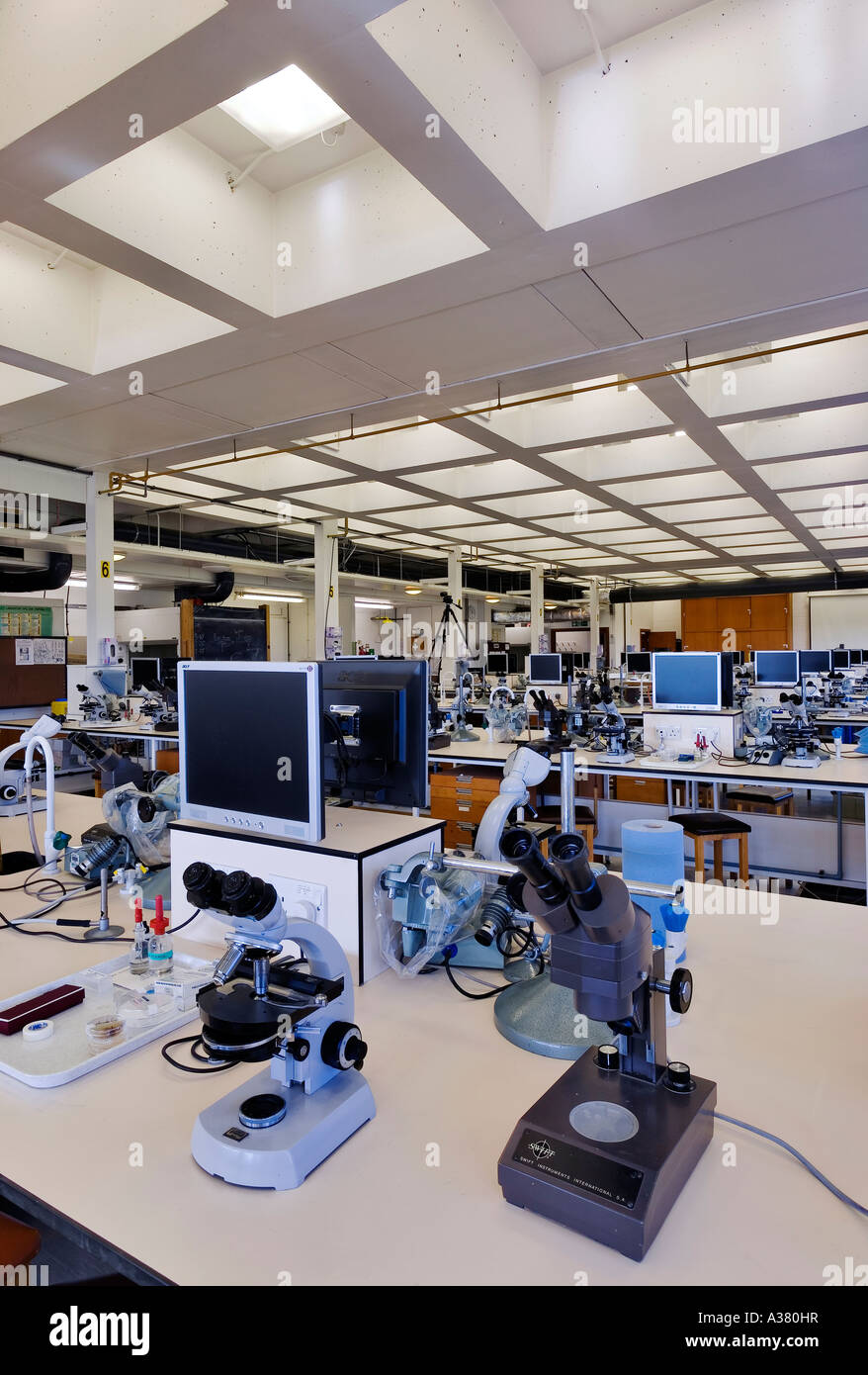 Laboratory at the Department of Zoology Oxford University Stock Photo