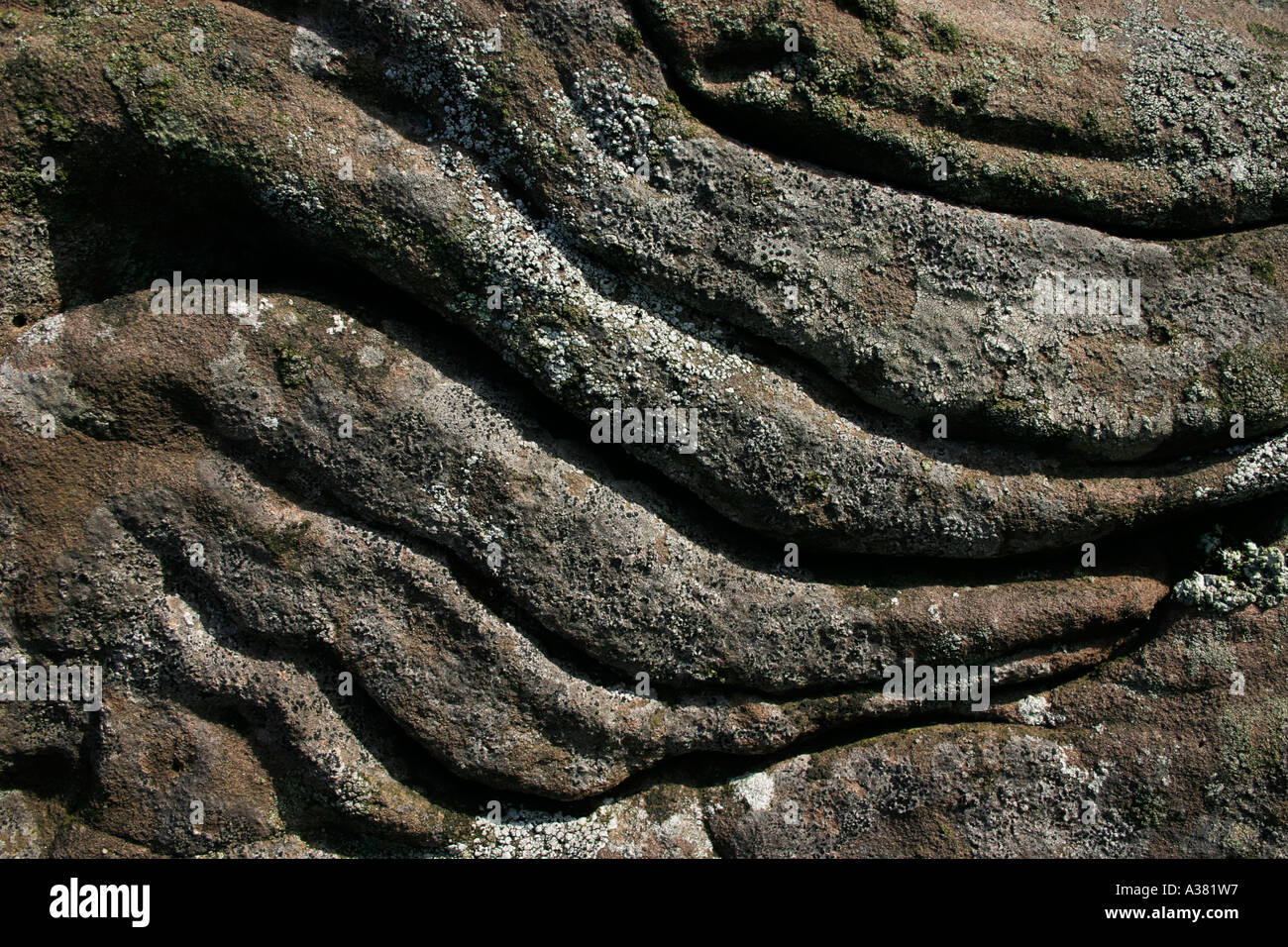 Old Red Sandstone in the Black Mountains, Wales Stock Photo 6114646