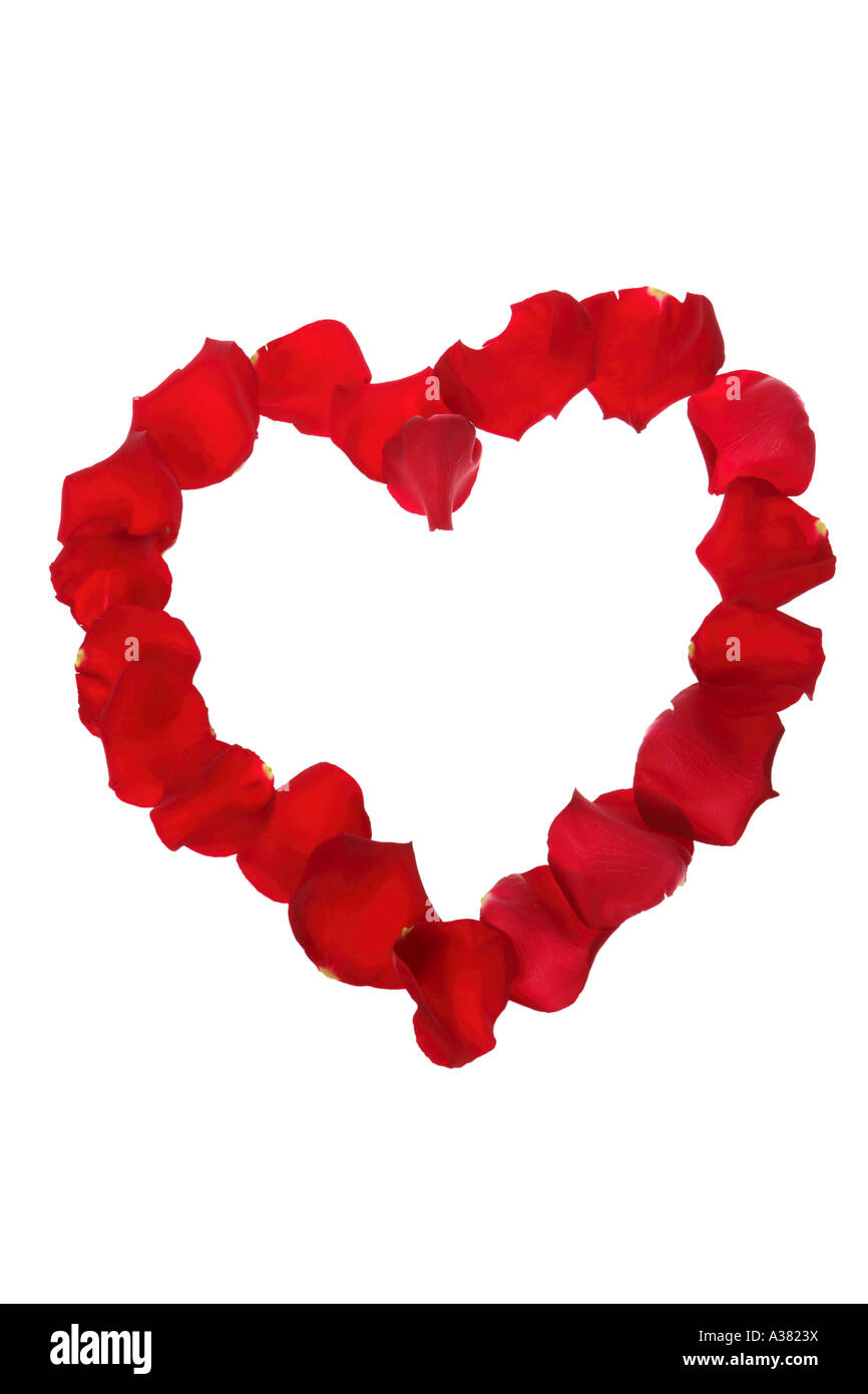 Red rose petals hi-res stock photography and images - Alamy