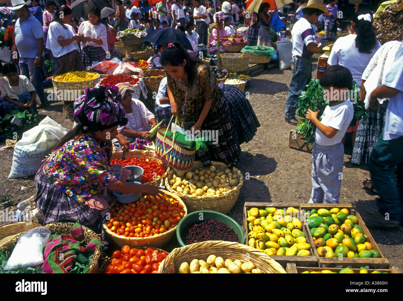 Guatemalans, Guatemalan women, female vendor, central market, city of