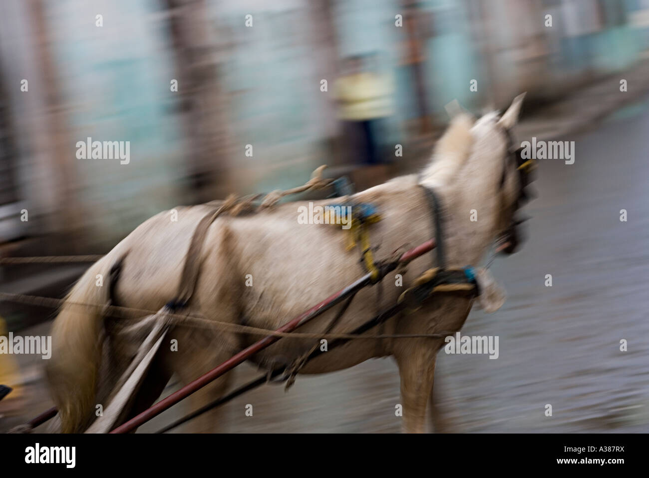 A horse pulls a carriage down a street in Baracoa Stock Photo Alamy