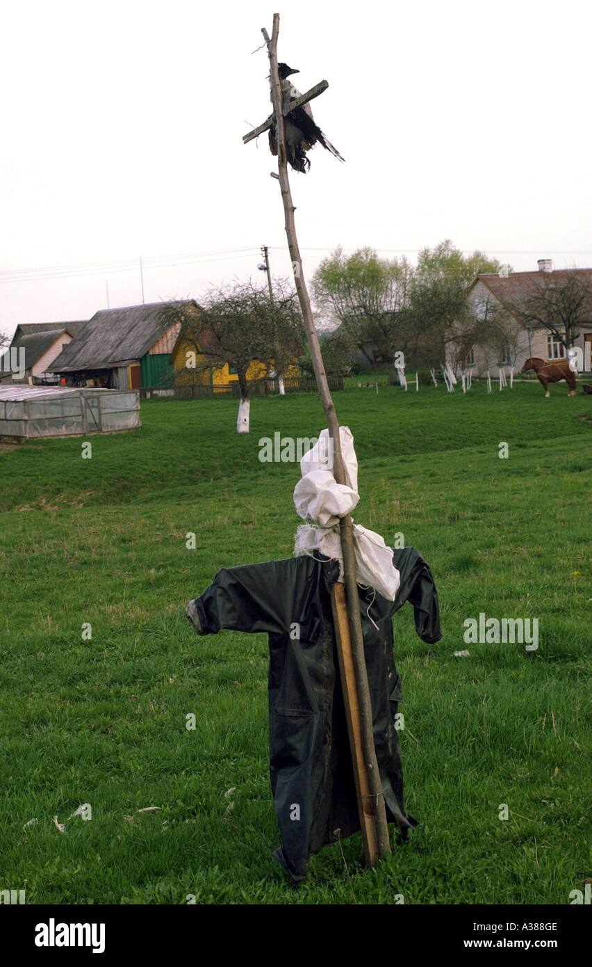 Scarecrow with a real dead crow for the deterrence Stock Photo - Alamy