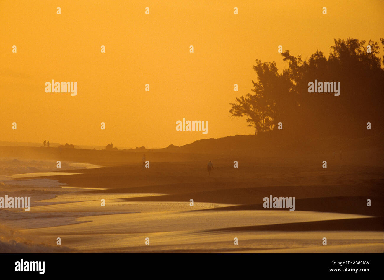 ETANG SALE BEACH REUNION ISLAND Stock Photo Alamy