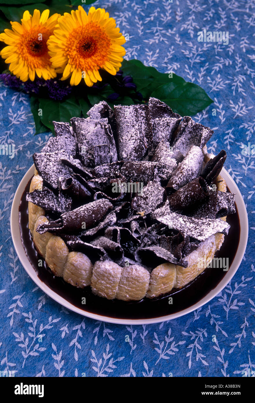 charlotte au chocolat, lady finger cake with chocolate mousse, French