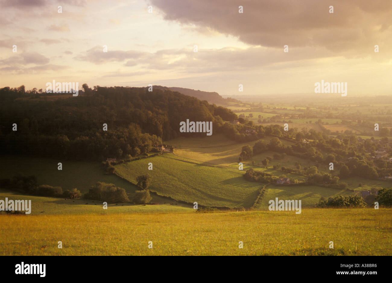 The Cotswold scarp at Pen Hill viewed from Selsley Common ...