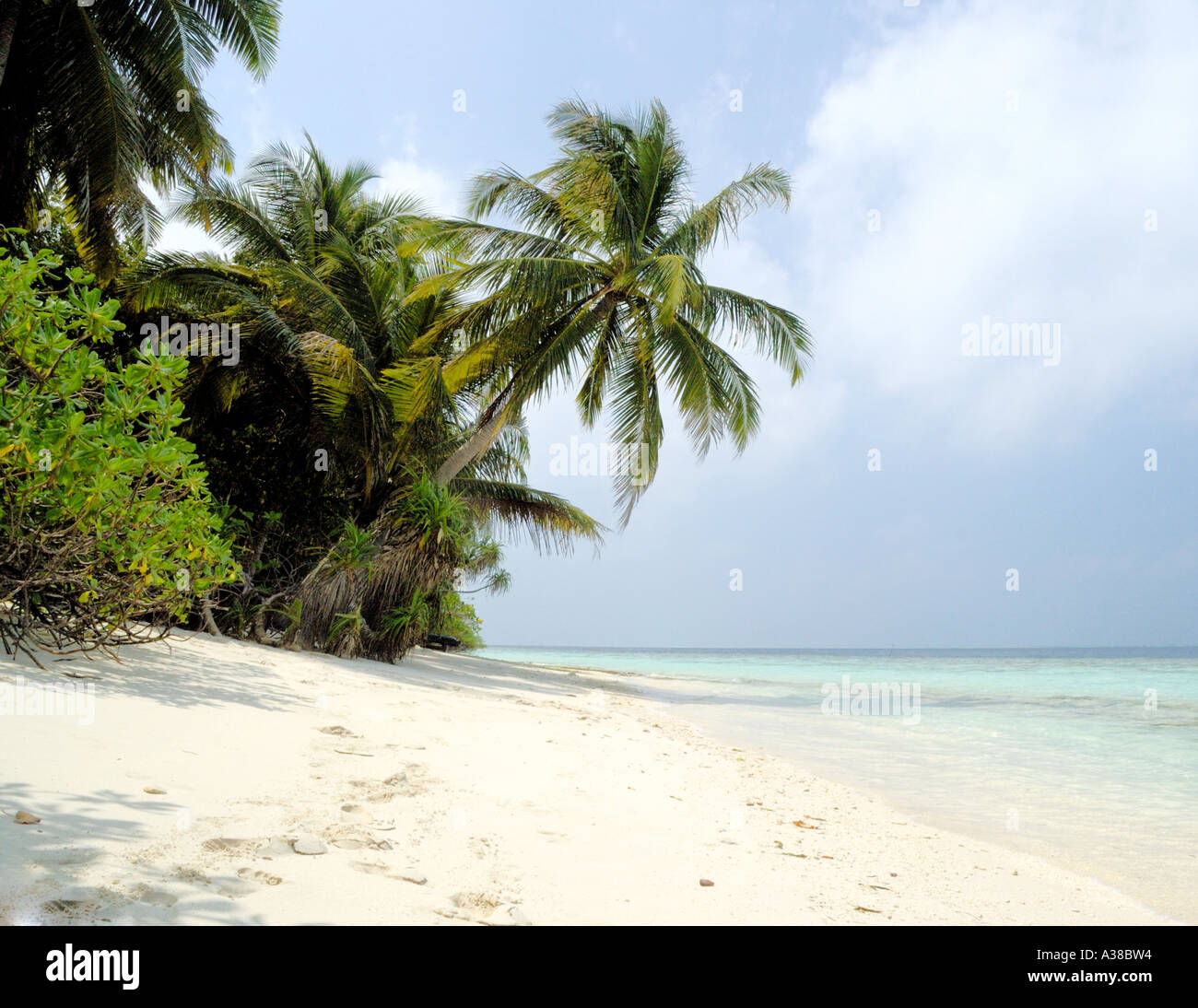 Tropical beach Stock Photo