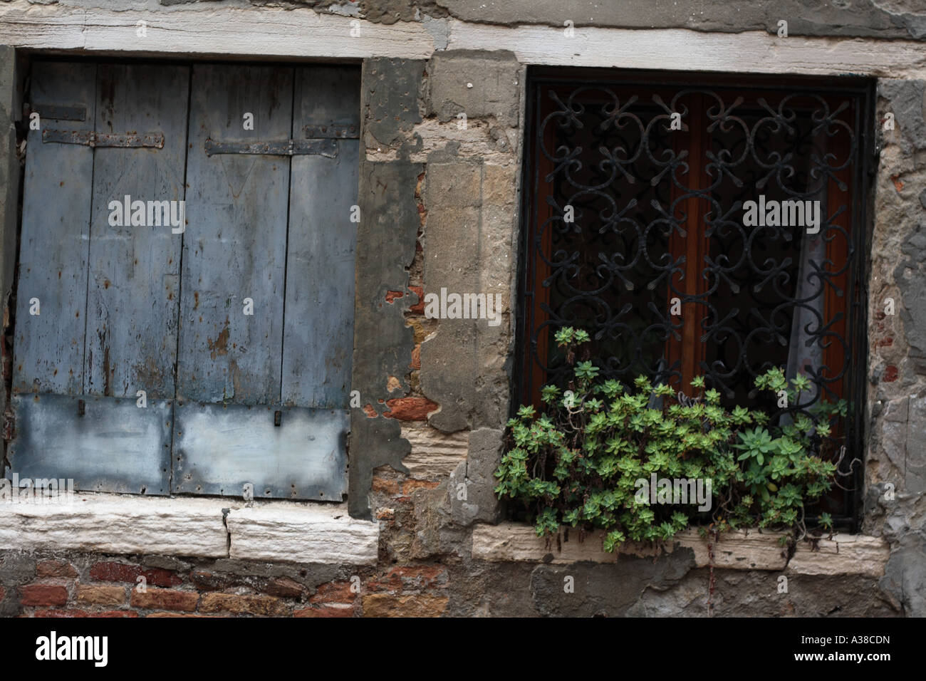 Old window with shutters and a plant in Venice italy Stock Photo Alamy