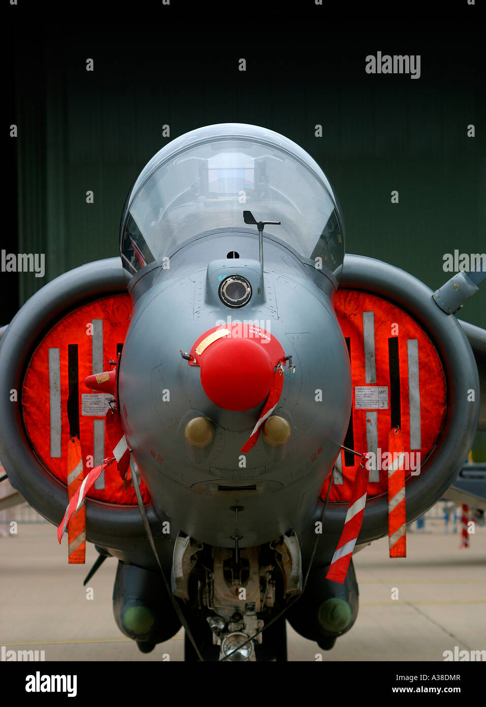 RAF HARRIER JUMP JET Stock Photo Alamy